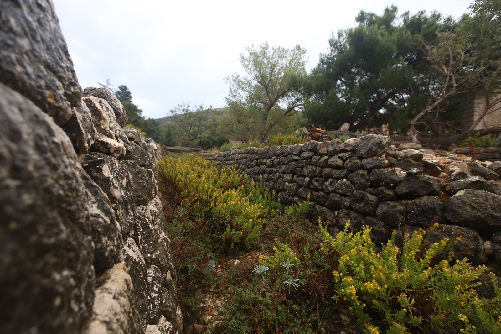 Sv. Grgur: Otok koji je nekad bio zatvor za žene Sv. Grgur: Otok koji je nekad bio zatvor za žene