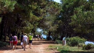 Nedjeljnja šetnja od Dikla do Pinije, Foto: Mladen Radolović Mrlja Nedjeljnja šetnja od Dikla do Pinije, Foto: Mladen Radolović Mrlja