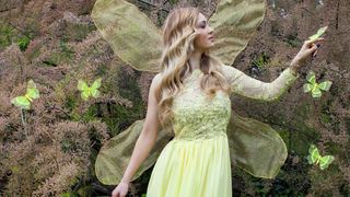 Misice kao šumske vile, koja ima ljepša krila?