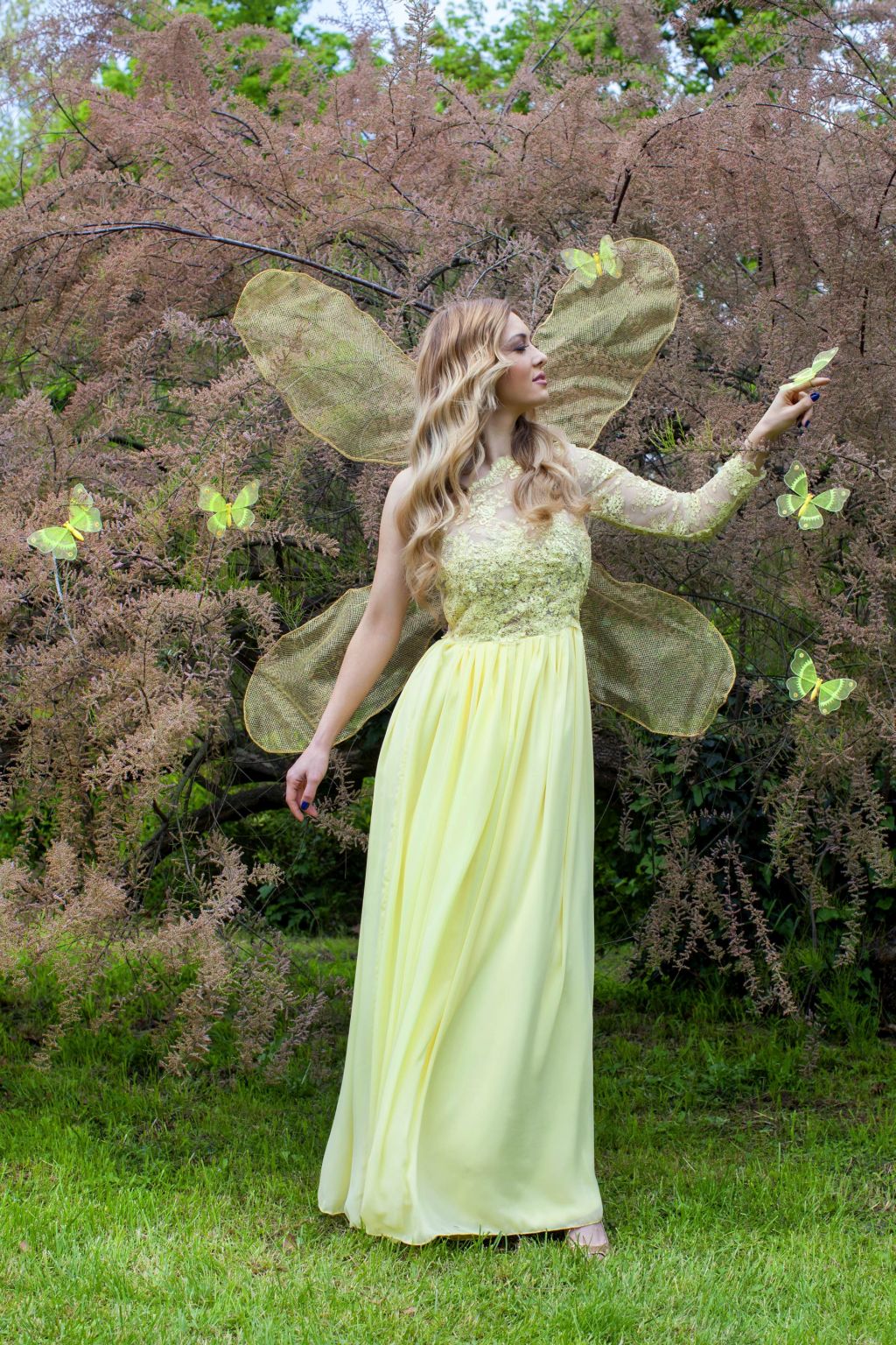 Misice kao šumske vile, koja ima ljepša krila?