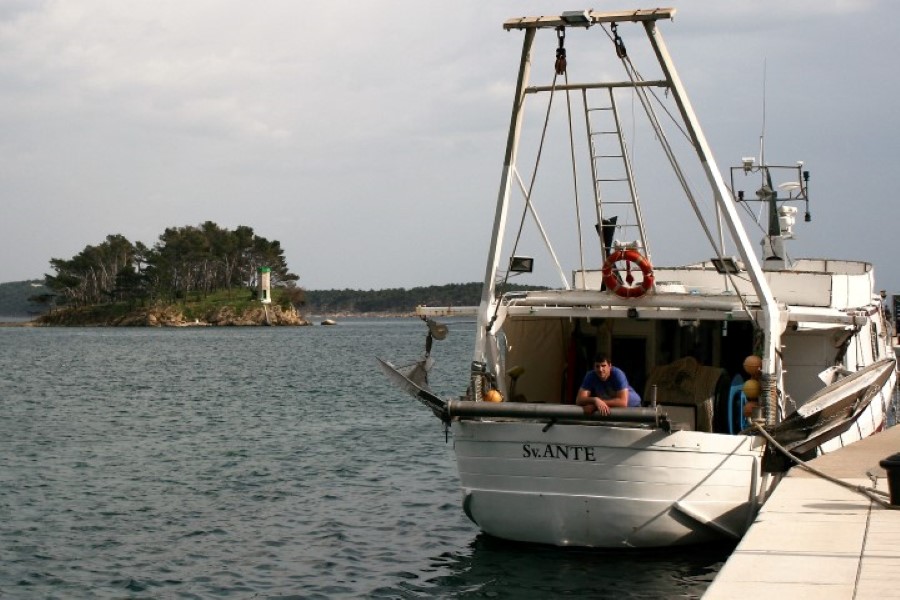 Đir p Rabu Đir p Rabu