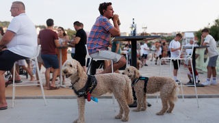 3. Blue Fish festival: Degustacija jela vrhunskih zadarskih kuhara 3. Blue Fish festival: Degustacija jela vrhunskih zadarskih kuhara