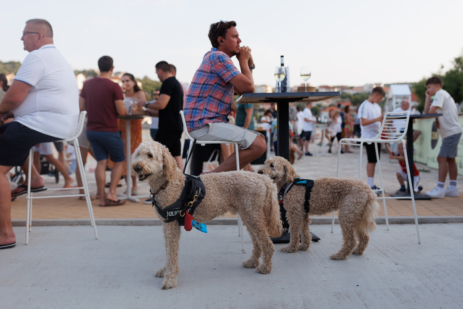 3. Blue Fish festival: Degustacija jela vrhunskih zadarskih kuhara 3. Blue Fish festival: Degustacija jela vrhunskih zadarskih kuhara