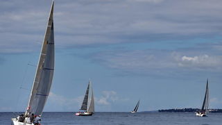 Zadarska regata 2021.