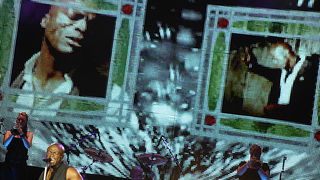 Seal u Zadru 14. srpnja 2010. (foto:Saša Čuka)