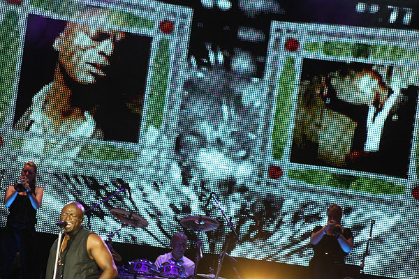 Seal u Zadru 14. srpnja 2010. (foto:Saša Čuka)