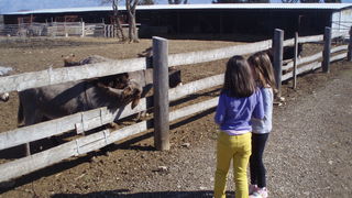 OLYMPUS DIGITAL CAMERA OLYMPUS DIGITAL CAMERA