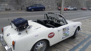 Adriatica Gazoline 2008.