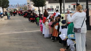 Virski karnevalić 2016. Virski karnevalić 2016.