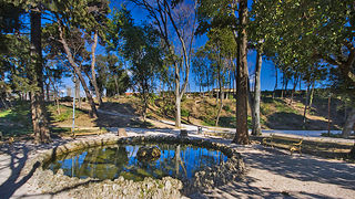 Đir zadarskim parkovima,27. veljače 2012. (foto:Saša Čuka)