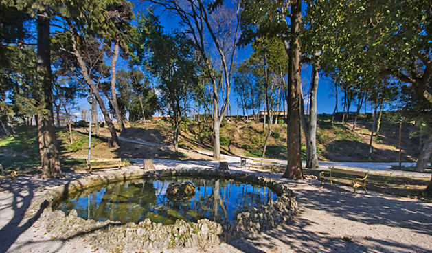 Đir zadarskim parkovima,27. veljače 2012. (foto:Saša Čuka)