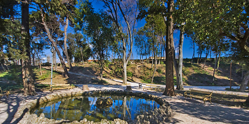 Đir zadarskim parkovima,27. veljače 2012. (foto:Saša Čuka)