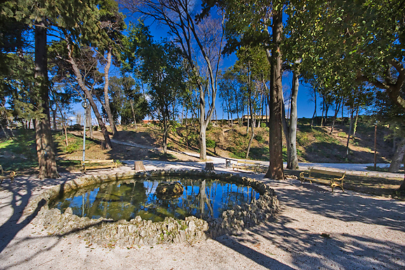 Đir zadarskim parkovima,27. veljače 2012. (foto:Saša Čuka)