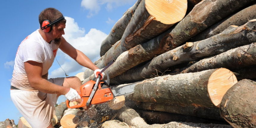 Zadar, 061010.
Zima samo sto nije stigla a oni koji jos nisu nabavili drva za ogrijev uzurbano traze zadnje zalihe kod prodavaca na zadarskom Bilom Brigu. Velika potraznja zadala je puno posla vrijednim radnicima u pilani Tihomira Lovrica.
Bukva i hrast p Zadar, 061010.
Zima samo sto nije stigla a oni koji jos nisu nabavili drva za ogrijev uzurbano traze zadnje zalihe kod prodavaca na zadarskom Bilom Brigu. Velika potraznja zadala je puno posla vrijednim radnicima u pilani Tihomira Lovrica.
Bukva i hrast p