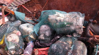 Biograd na Moru: Akcija ciscenja podmorja u uvali Jaz “Cistimo zajedno”