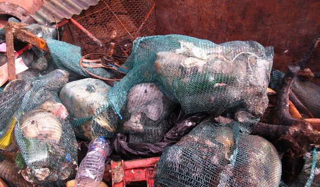 Biograd na Moru: Akcija ciscenja podmorja u uvali Jaz “Cistimo zajedno”