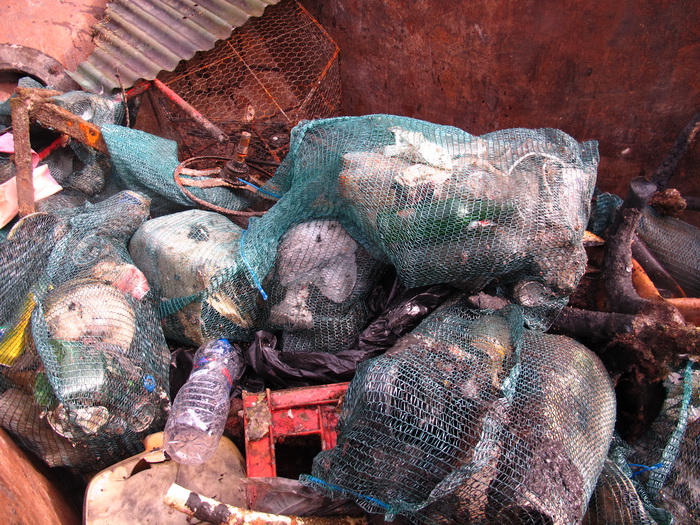 Biograd na Moru: Akcija ciscenja podmorja u uvali Jaz “Cistimo zajedno”