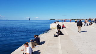 Zadarska Koka 2016. 22. listopada 2016. Foto: Mladen Malik Zadarska Koka 2016. 22. listopada 2016. Foto: Mladen Malik