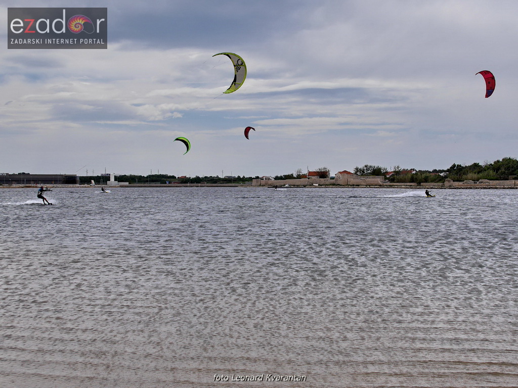 Kiteri guštali u refulima ninske bure Kiteri guštali u refulima ninske bure