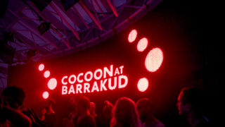 Papaya, Zrće: Barrakud festival