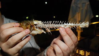 Image 805755 (auto) Image 805755 (auto)