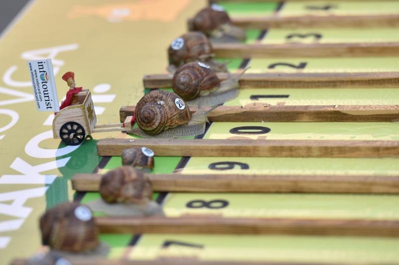 U sklopu Benkovackog kulturnog ljeta Grad Benkovac i Turisticka zajednica Grada Benkovca vec cetvrtu godinu za redom organiziraju manifestaciju Puzevim korakom. Radi se o gastro manifestaciji pripreme i degustacije puzeva. Posjetitelji su imali prilike d U sklopu Benkovackog kulturnog ljeta Grad Benkovac i Turisticka zajednica Grada Benkovca vec cetvrtu godinu za redom organiziraju manifestaciju Puzevim korakom. Radi se o gastro manifestaciji pripreme i degustacije puzeva. Posjetitelji su imali prilike d