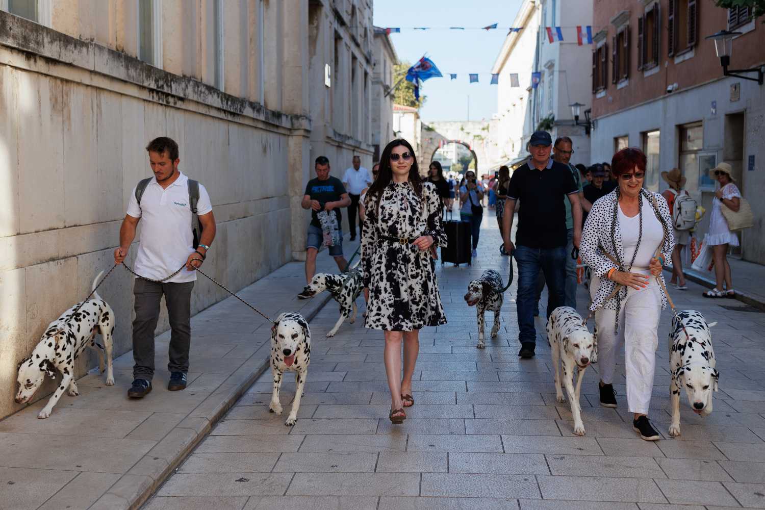 Red Carpet Dalmatian Walk @Trg pet bunara Red Carpet Dalmatian Walk @Trg pet bunara