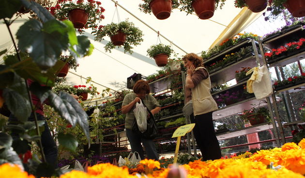 Sveti Filip i Jakov: 11. Dani cvijeca Zadarske zupanije, Foto: Martin Brkljaca