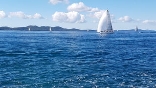 Zadarska Koka 2016. 22. listopada 2016. Foto: Mladen Malik Zadarska Koka 2016. 22. listopada 2016. Foto: Mladen Malik