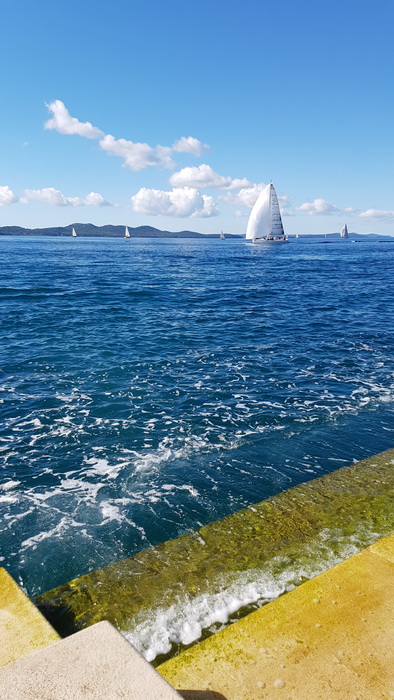 Zadarska Koka 2016. 22. listopada 2016. Foto: Mladen Malik Zadarska Koka 2016. 22. listopada 2016. Foto: Mladen Malik