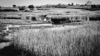 Crno bijela bajka na Kraljičinoj plaži, foto: Iva Perinčić