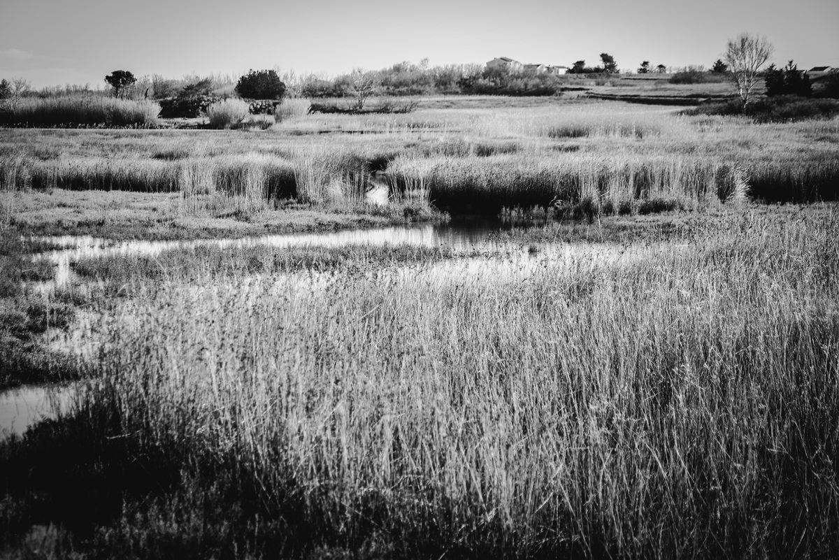 Crno bijela bajka na Kraljičinoj plaži, foto: Iva Perinčić