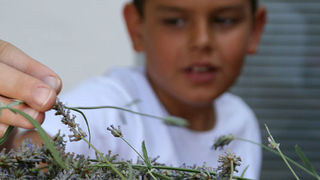 GKZD: Dječja radionica izrade stručaka i jastučića od lavande, Foto: Lucija Juravić