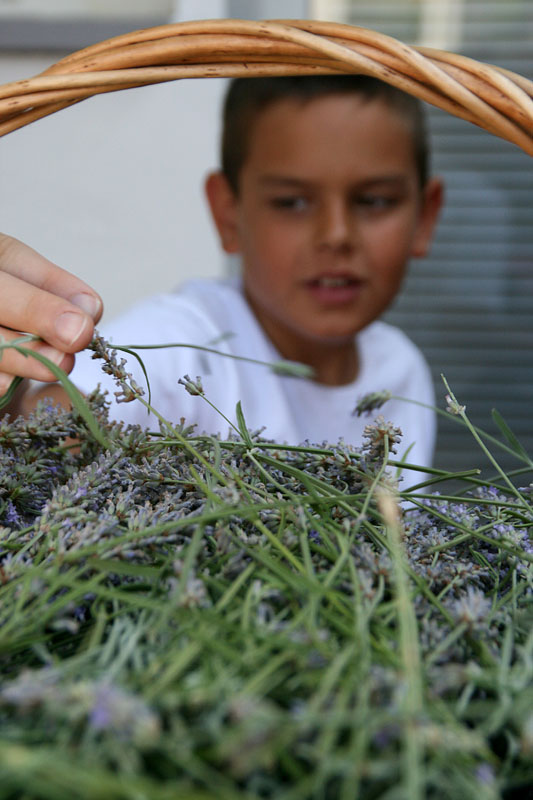 GKZD: Dječja radionica izrade stručaka i jastučića od lavande, Foto: Lucija Juravić