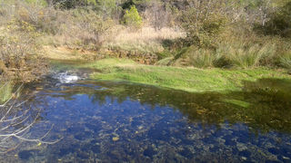 Krška rijela Karišnica. Foto: Edvard Šprljan Krška rijela Karišnica. Foto: Edvard Šprljan