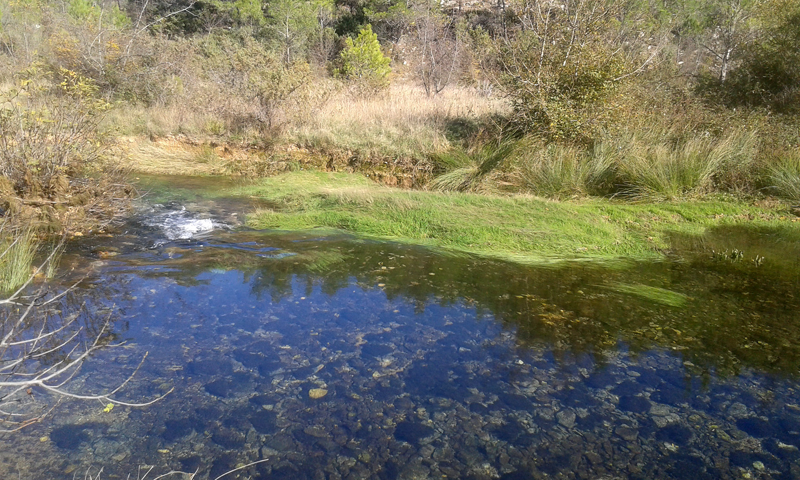 Krška rijela Karišnica. Foto: Edvard Šprljan Krška rijela Karišnica. Foto: Edvard Šprljan
