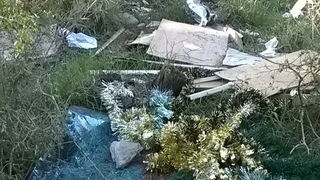 Ovako izgleda Park šuma Musapstan nakon akcije “Zelena čistka” Ovako izgleda Park šuma Musapstan nakon akcije “Zelena čistka”