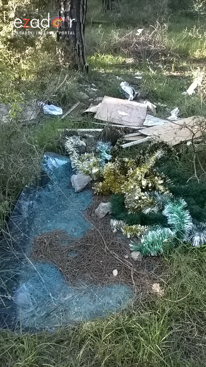 Ovako izgleda Park šuma Musapstan nakon akcije “Zelena čistka” Ovako izgleda Park šuma Musapstan nakon akcije “Zelena čistka”