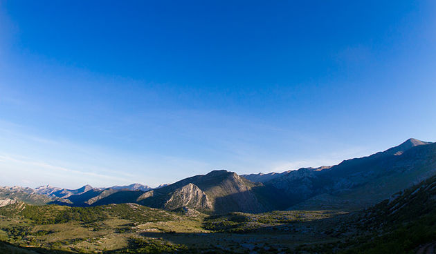 Velebitski divlji konji, Foto: Leo Banić