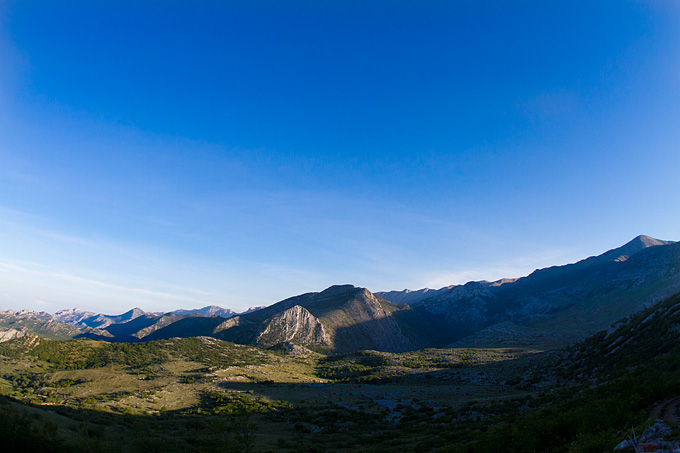 Velebitski divlji konji, Foto: Leo Banić