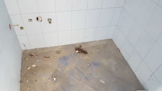 Devastirani Centar Mocire Devastirani Centar Mocire