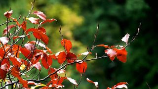 NP Plitvička jezera, listopad 2021.