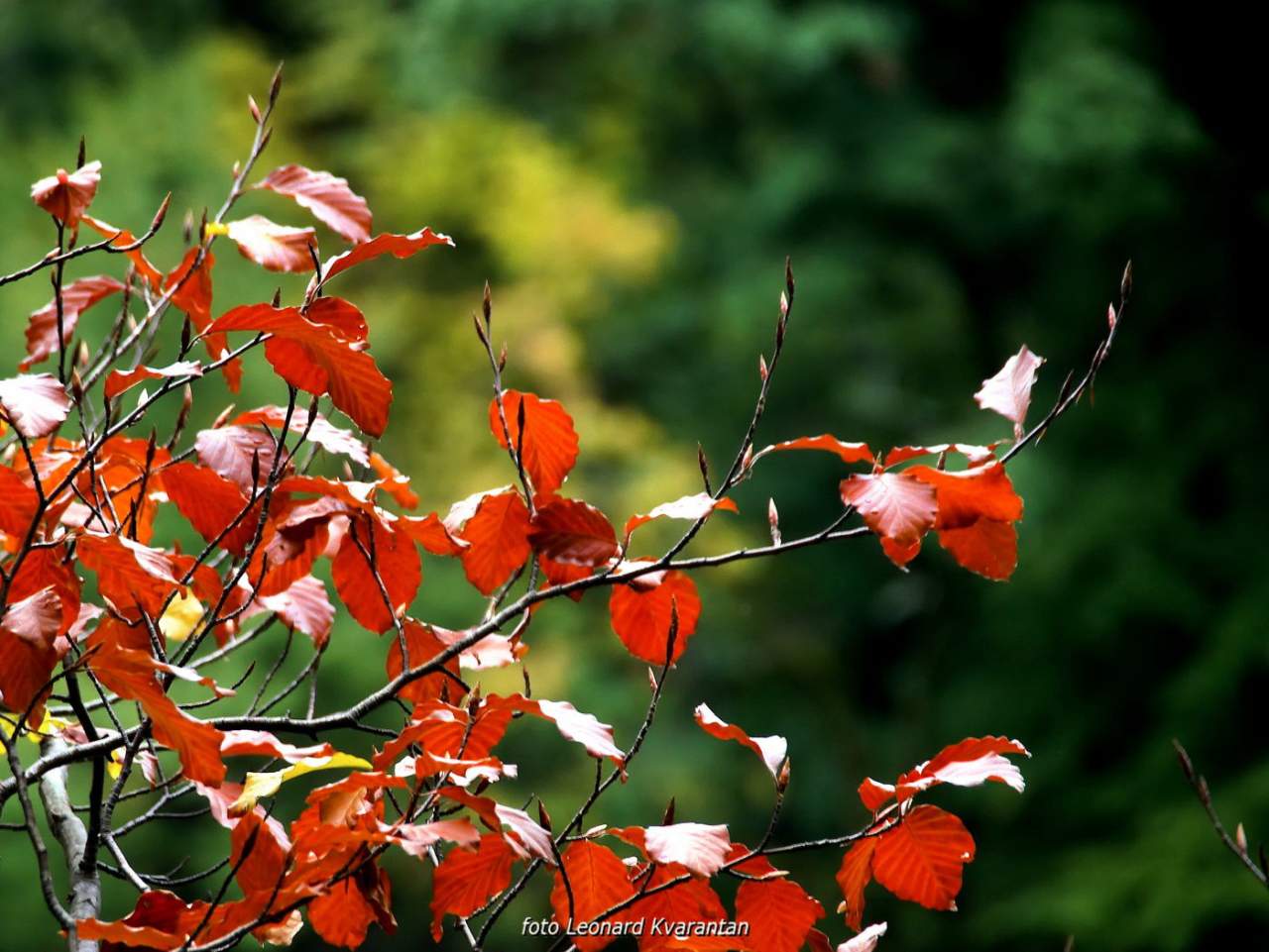 NP Plitvička jezera, listopad 2021.