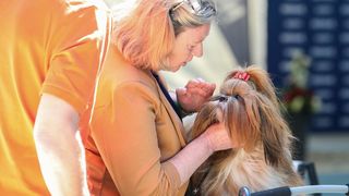 Međunarodna izložba pasa CACIB 2023