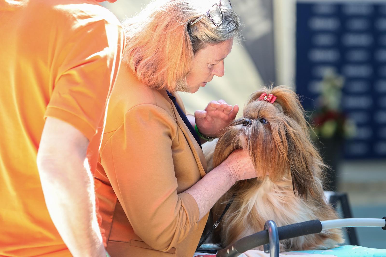 Međunarodna izložba pasa CACIB 2023