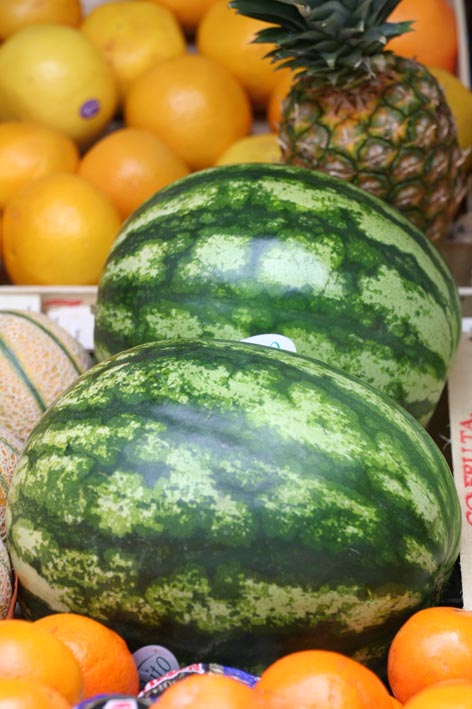 Image 1200495 (auto)