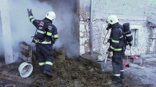 Požar u pojati kod Jovića Požar u pojati kod Jovića