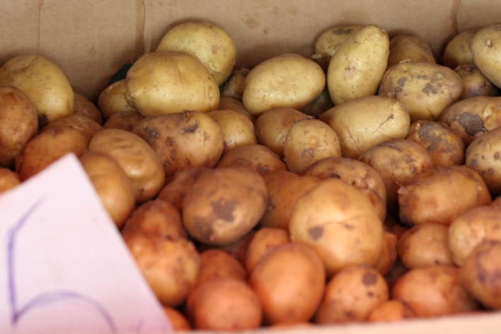 Image 1200499 (auto)