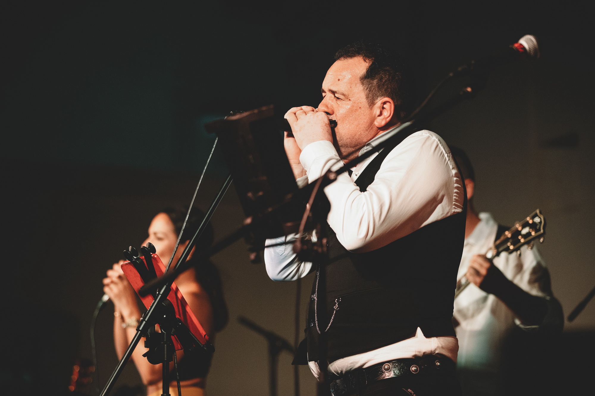 “Tribute to Beatles” u palači Cedulin