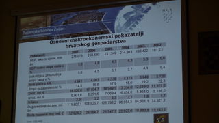 HGK ZK Zadar, Gospodarsko vije